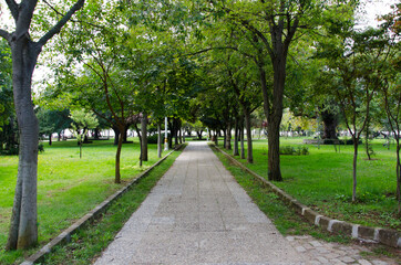 alley in the park