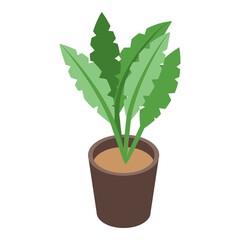 Home office plant pot icon. Isometric of home office plant pot vector icon for web design isolated on white background