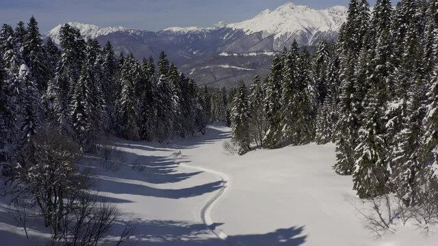 elite snowmobiler rides against the backdrop of a beautiful panorama of snow peaks Alpine mountains and tall fir trees. bright snowmobile and suit. snowmobilers sports riding. 4K