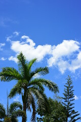 Fototapeta na wymiar The blue sky with beautiful clouds on a sunny day.