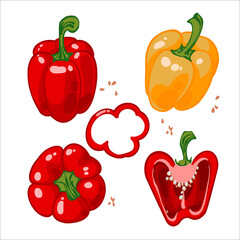 Set of hand drawn vector illustrations with sweet red and yellow peppers, pepper slices, top view. isolated on white background. Bell pepper cutaway. Healthy Ripe juicy farm cartoon vegetables.  