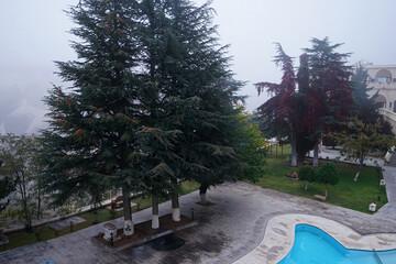 Exterior terrace architecture and decoration of green garden patio with fog and mist