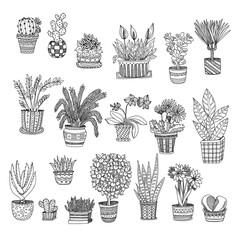 Big set of cute hand drawn house plants in pots including cactus, dracena, aloe and others. Vector collection of doodle plants