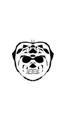 pumpkin illustration with scary skull face. very suitable for halloween celebrations