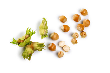 A macro shot of a cluster of hazelnuts hanging from the branches, copy space for your text isolated on white background. Top view. Flat lay