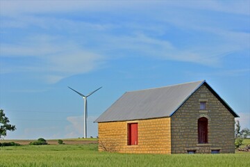 Obraz premium old barn in field with green wheat and a blue sky out in the country in Kansas.