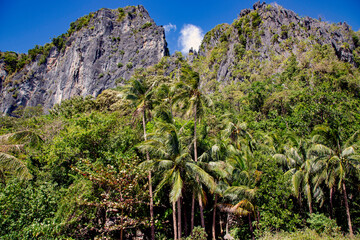 Fototapeta na wymiar High cliffs with tropical palm forest on Paradise Island near El Nido, Palawan, Philippines