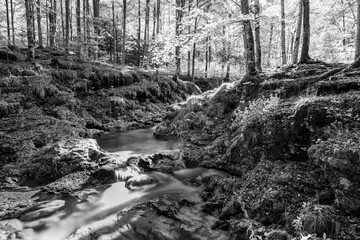 Waterfalls and streams of the Val d'Arzino. Black and white.