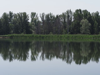Fototapeta na wymiar Forest reflected in waters of artificial lake in european Goczalkowice town at Silesian district in Poland, clear blue sky in 2020 warm sunny spring day on June.