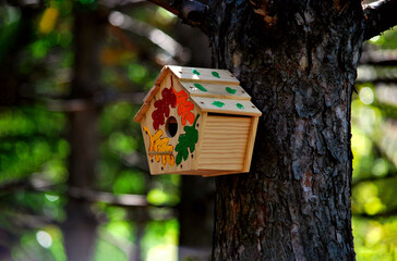  An empty handmade birdhouse on a tree in an autumn Park. The birds flew away. Autumn.