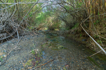 water flowing down the river in southern Spain