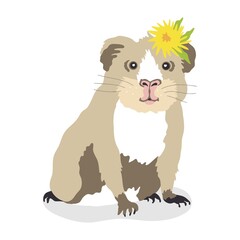 Vector illustration of a guinea pig with a flower on its head. Cute home pet, dandelion flower isolated on white background.