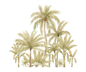 Watercolor compositions with palm tree in green color isolated on white background. Coconut and banana trees. Vintage illustration elements. Floral jungle.