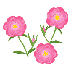 バラの花のイラスト