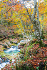 Autumn. Explosion of colors on the waterfalls and streams of the Val d'Arzino.