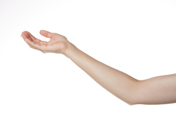 a woman's hand holding her palm up.