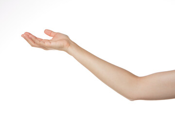 a woman's hand holding her palm up.