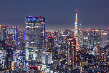 Fototapeta na wymiar 渋谷スカイからの夜景