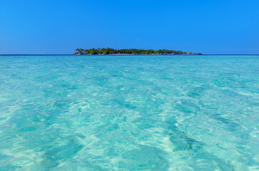 view of a paradise island fringed with coconut palms taken from the sea. The blue and transparent water of the coral reef entice you to an exclusive holiday