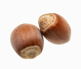 fresh hazelnuts on white background