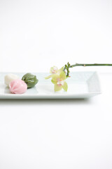 korean traditional honey rice cake with flower on plate