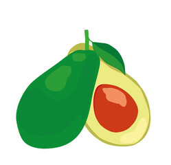 avocado, vector illustration 