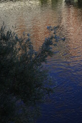 Surface of the river of Bilbao