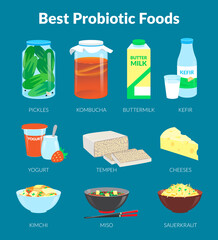 Probiotic Foods. Food rich in probiotics. Vector illustration. - obrazy, fototapety, plakaty