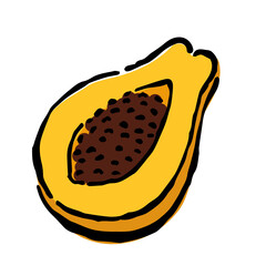 Illustration of Papaya: Illustration like hand drawn illustration with ink and brush