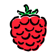Illustration of Raspberry: Illustration like hand drawn illustration with ink and brush