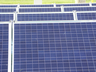 Rows of Solar Panels