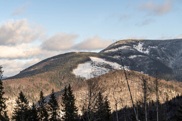 Beautiful pine trees against a winter backdrop with mountains on a sunny, blue sky winter day.