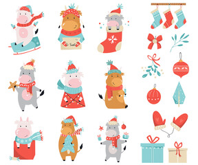 Set of cute holidays cows and bulls in winter clothes.