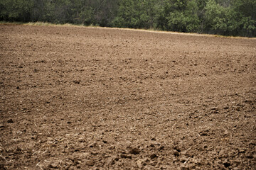 plowed field and blue sky, soil and clouds of a bright sunny day - concept of agriculture