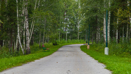 road in the forest