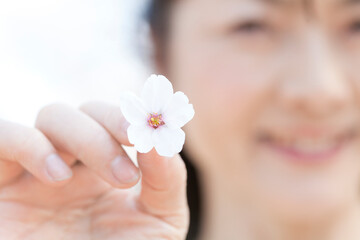 Obraz na płótnie Canvas 桜の花びらを持つシニア女性