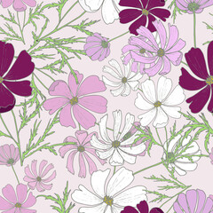 Art & Illustration. 
Seamless pattern of blooming multicolored kosmeya on a pale pink background