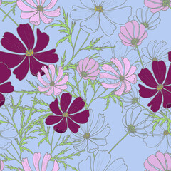 Art & Illustration. 
Seamless pattern pink kosmeya on a blue background