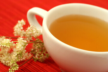 Meadowsweet infusion. Filipendula ulmaria