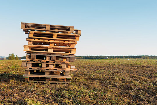 Pile of Pallets on the Autumn Fields