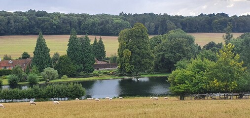 River Chess at Chenies, Buckinghamshire