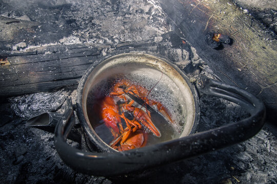 Cooking at a fireplace. Crawfish and meat
