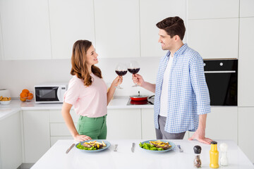 For you honey. Two dream affectionate couple people have romance 14-february supper prepared homemade roasted beef clink cheers delicious wine enjoy event weekend in kitchen house indoors