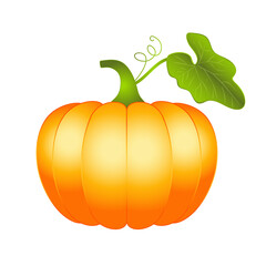 Pumpkin isolated on white, 3d vector illustration