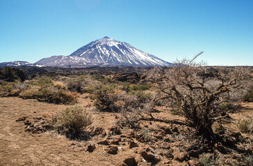 Parc national, Volcan Teide, Ile  de Tenerife, Iles Canaries, Espagne