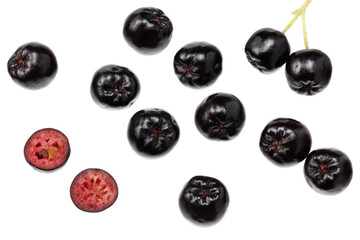 Chokeberry isolated on white background. Clipping path and full depth of field. Top view