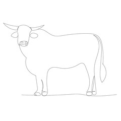 vector, isolated, one line drawing bull, cow