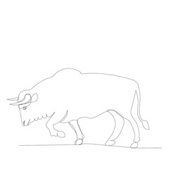 vector, isolated, one line drawing bull, cow