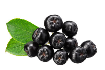 Chokeberry with green leaves isolated on white background. Clipping path and full depth of field