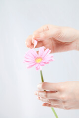 花占いをする手